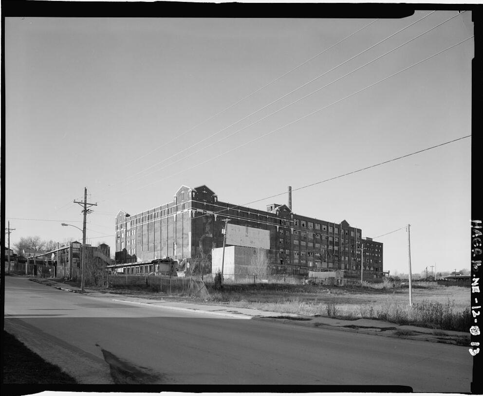 Suffocation of Chickens with Foam in Israel, 2014, 2022. oil on canvas, 70x100cm
