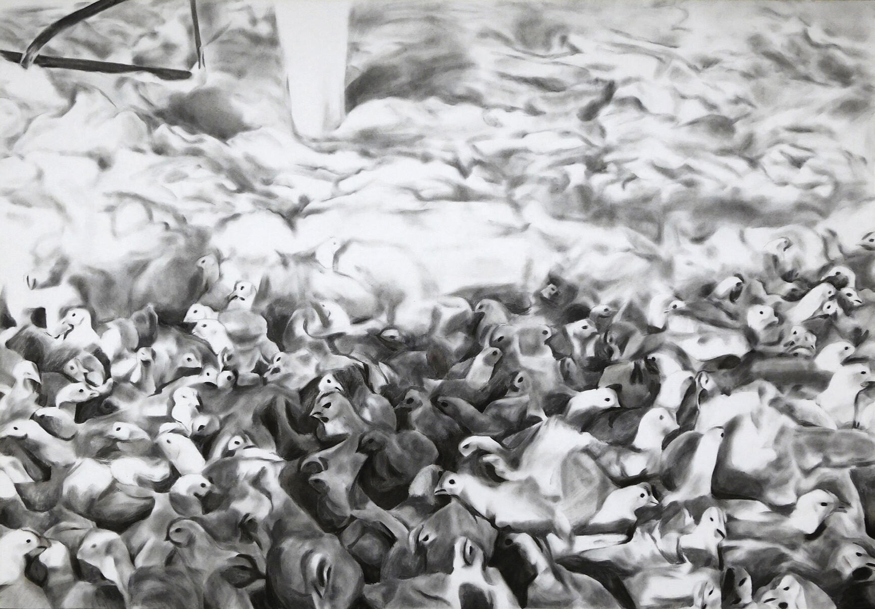 Suffocation of Chickens with Foam in Israel, 2014, 2021. charcoal on paper, 70x100cm